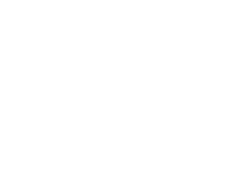 mingo holdings logo white